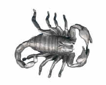 scorpion.jpg (11405 bytes)