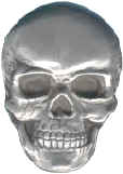 skull.jpg (11650 bytes)