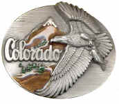 Colorado_A43E_Colorado_Eagle.jpg (17962 bytes)